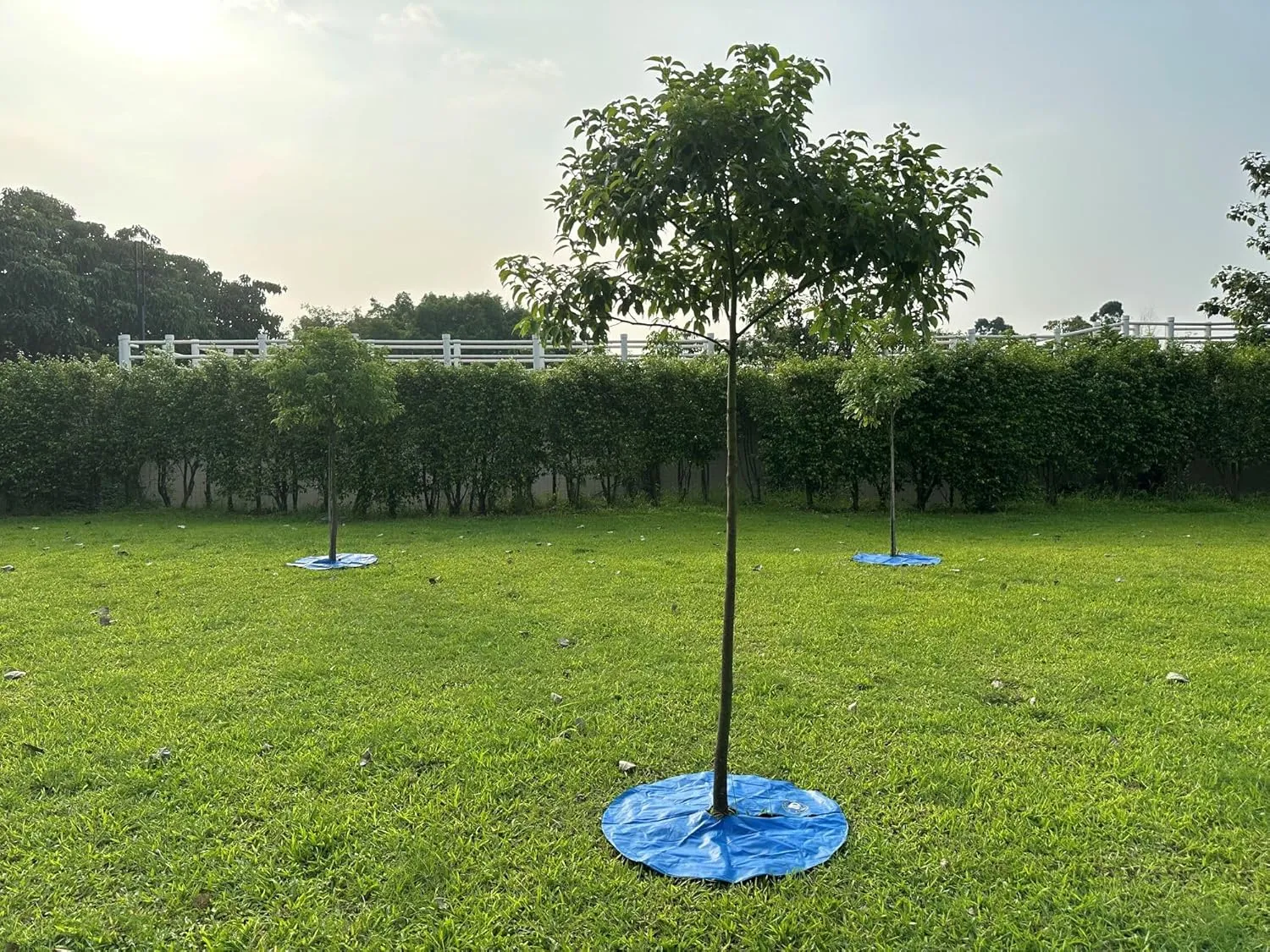 12  Hours Slow Release Tree Watering Bag/Ring - 15 Gallon, Ideal for Newly Planted Trees and Shrubs (2, Blue and Yellow)