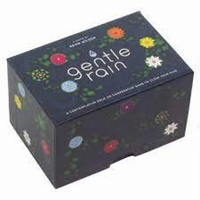 A Gentle Rain