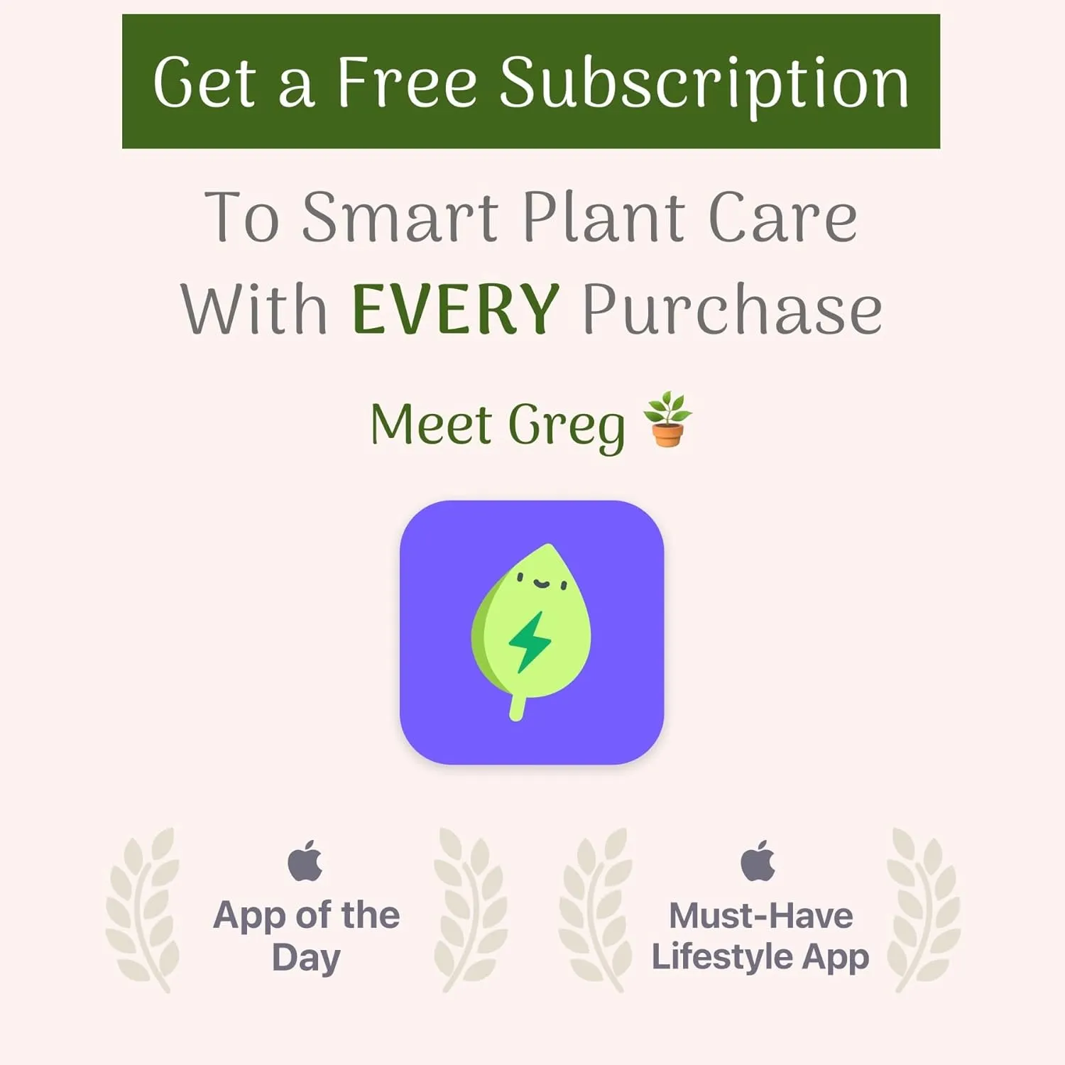 American Plant Exchange Lady Palm – 6-Inch Pot – Live Easy Care Indoor Houseplant, Air-Purifying, Low-Light Tropical Palm for Home, Office, Apartment, and Indoor Décor