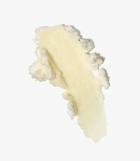 Coco-Butter - Body Butter - 60ml- x10
