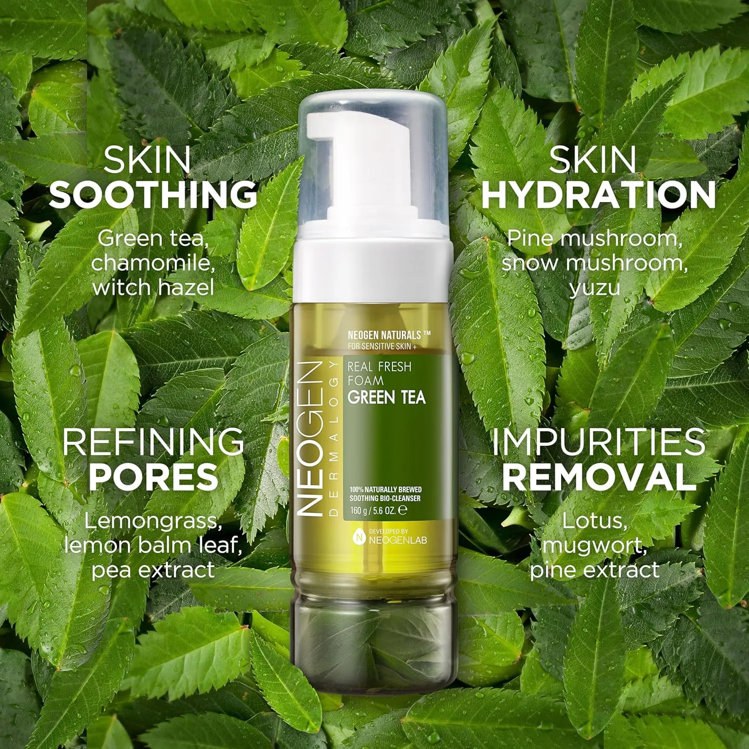 DERMALOGY by NEOGENLAB NEOGEN Real Fresh Foam Cleanser, Green Tea 5.6 Fl Oz (160g) - Soothing & Hydrating Gentle Cleansing Foam with Real Green Tea Extract, Clean Beauty - Korean Skin Care