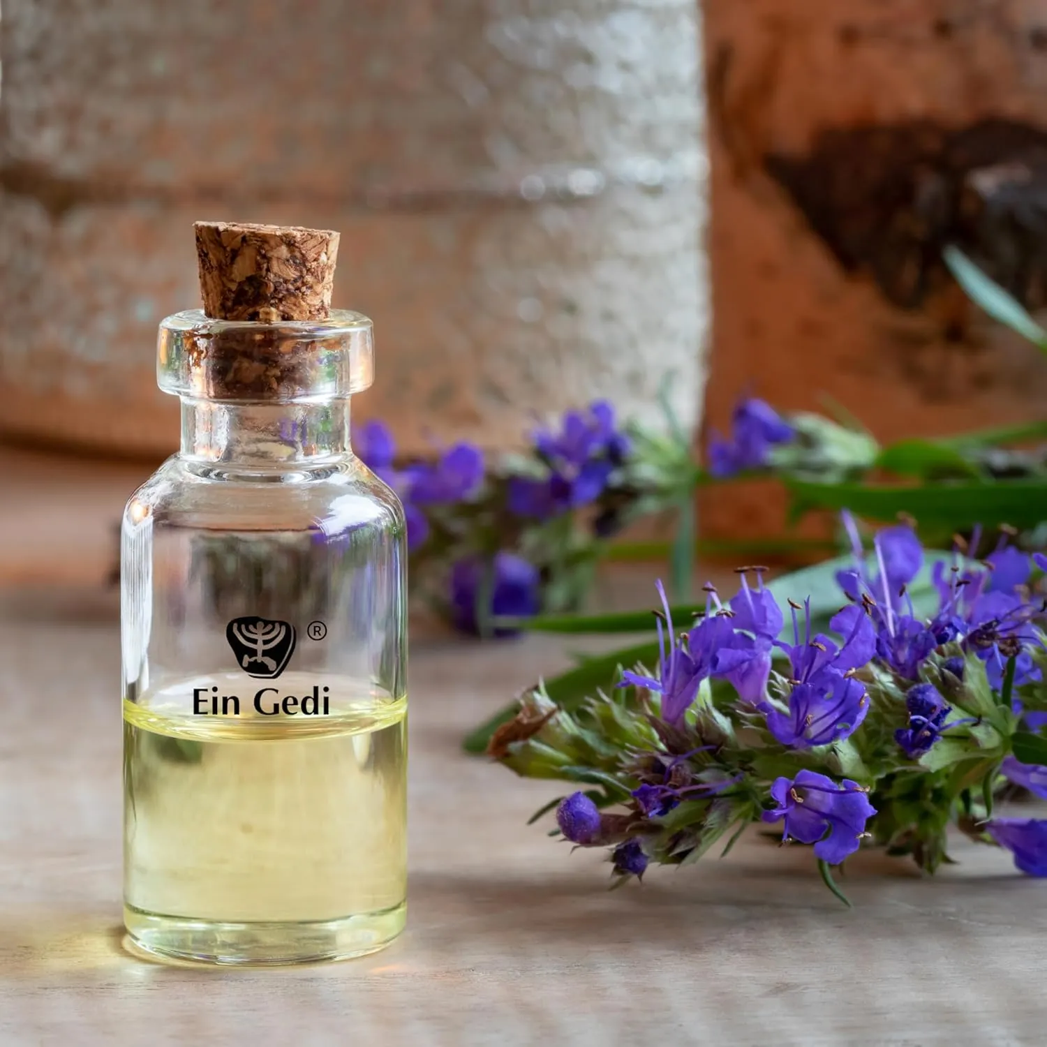 EIN GEDI Hyssop Anointing Oil, Made in Holy Land (250ml - 8.5 Oz) Traditional Blend Anointing Oil for Prayers and Blessings. (250, Hyssop Purification)