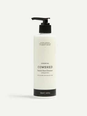 Gentle Face Cleanser