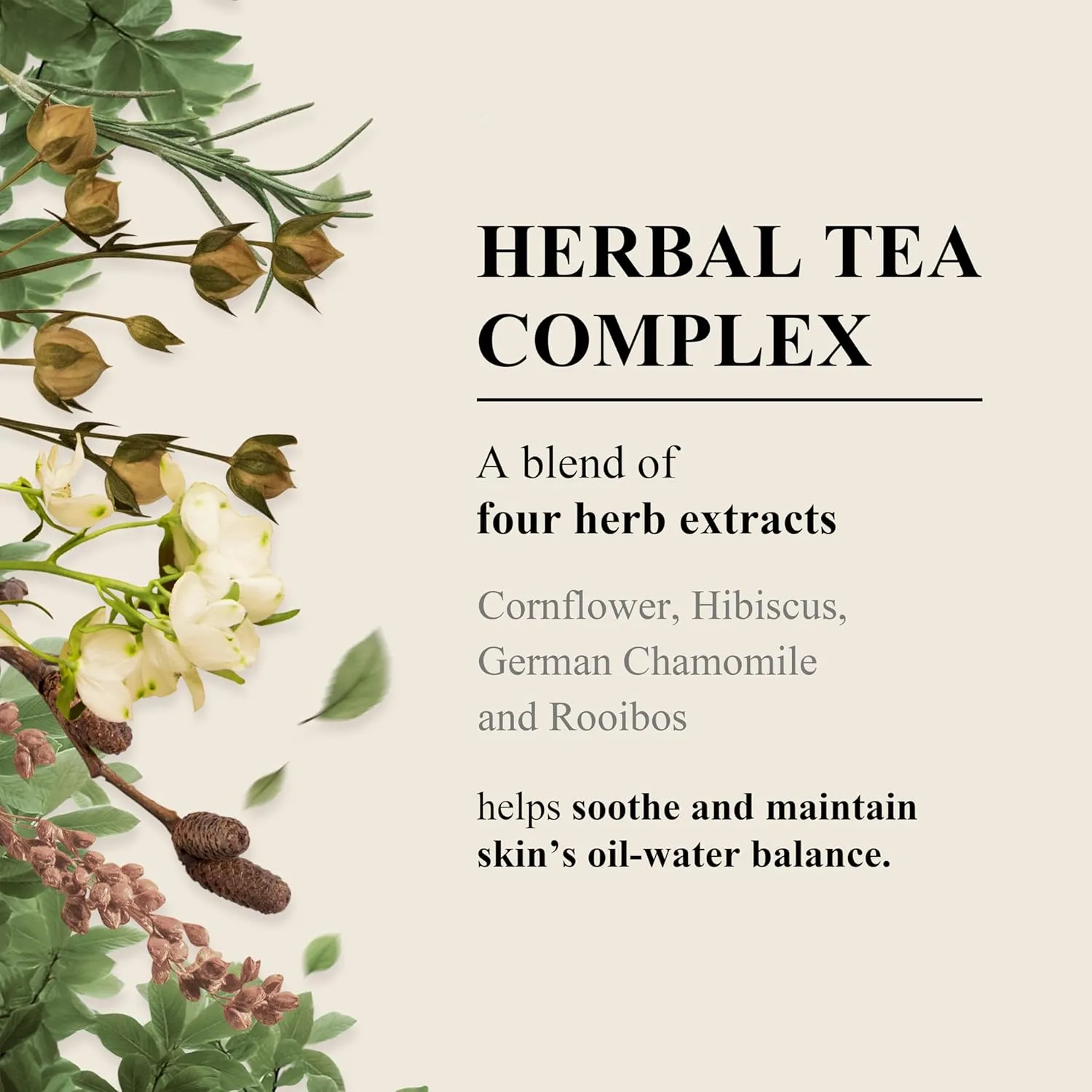 Herb Black Tea Body Lotion, Daily Moisturizer, Body Lotion For Dry Skin & Sensitive Skin, Non-Greasy, Slow Aging, Aromatherapy for Stress Relief, Fragrance Free, Korean Skin Care