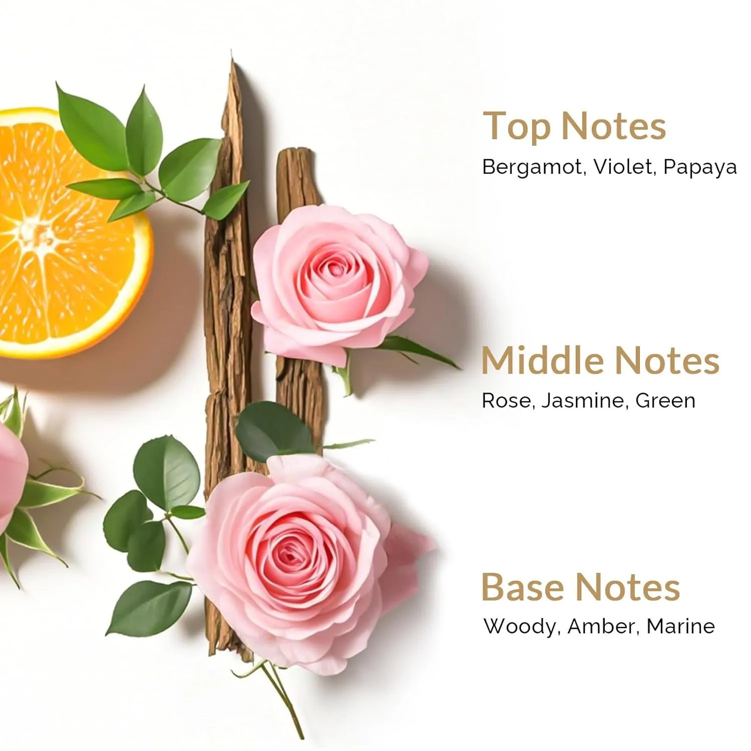 Kustie Real Flower Petal Perfume Body Wash with Essential Oils, 24H Fragrance & Deep Moisturizing Cleanse Shower Gel for Sensitive & Dry Skin with Pump Bottle, 12.8 oz, 3-Pack