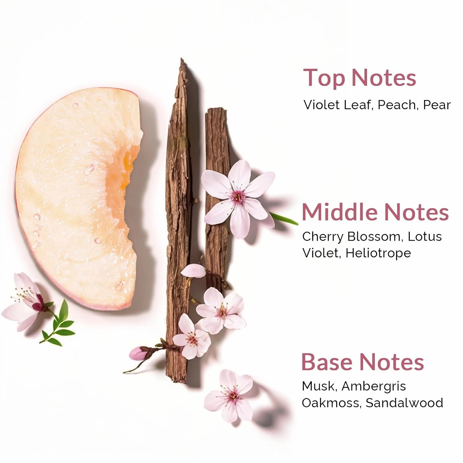 Kustie Cherry Blossom Brightening Body Wash, Natural Petals & Essential Oils - Antioxidant, 24H Fragrance & Deep Moisturizing Cleanse Shower Gel for Sensitive & Dry Skin with Pump Bottle, 12.8 Fl Oz