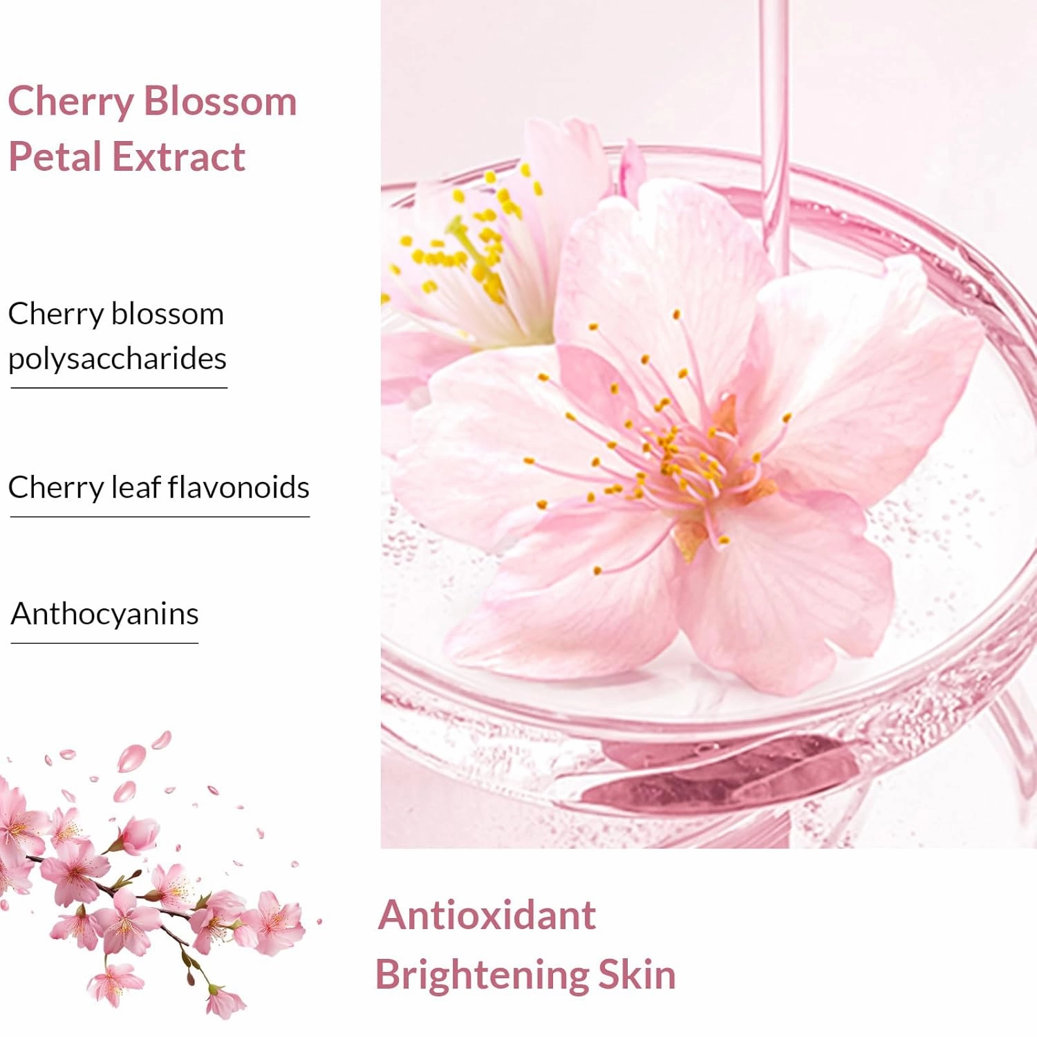 Kustie Cherry Blossom Brightening Body Wash, Natural Petals & Essential Oils - Antioxidant, 24H Fragrance & Deep Moisturizing Cleanse Shower Gel for Sensitive & Dry Skin with Pump Bottle, 12.8 Fl Oz