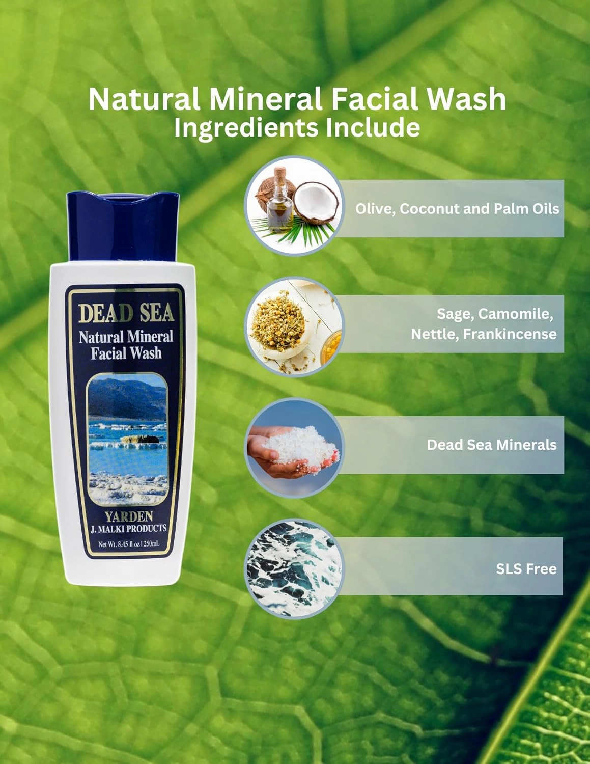 Malki Dead Sea Products Natural Mineral Facial Wash | Natural Face Wash | SLS-Free, Gentle Care for Acne-Prone Skin and Eczema | Purifying Sage, Chamomile, Nettle, and Frankincense Formula