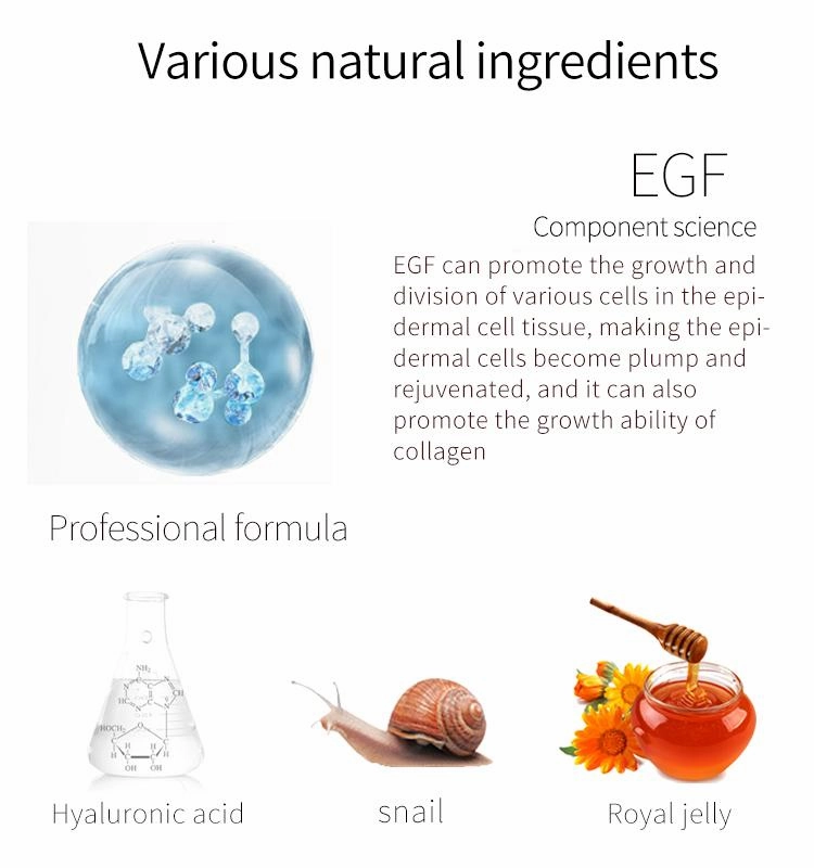Mitomo Snail   EGF Regeneration Facial Essence Mask (10 Masks) [MCSS00001-A-0]