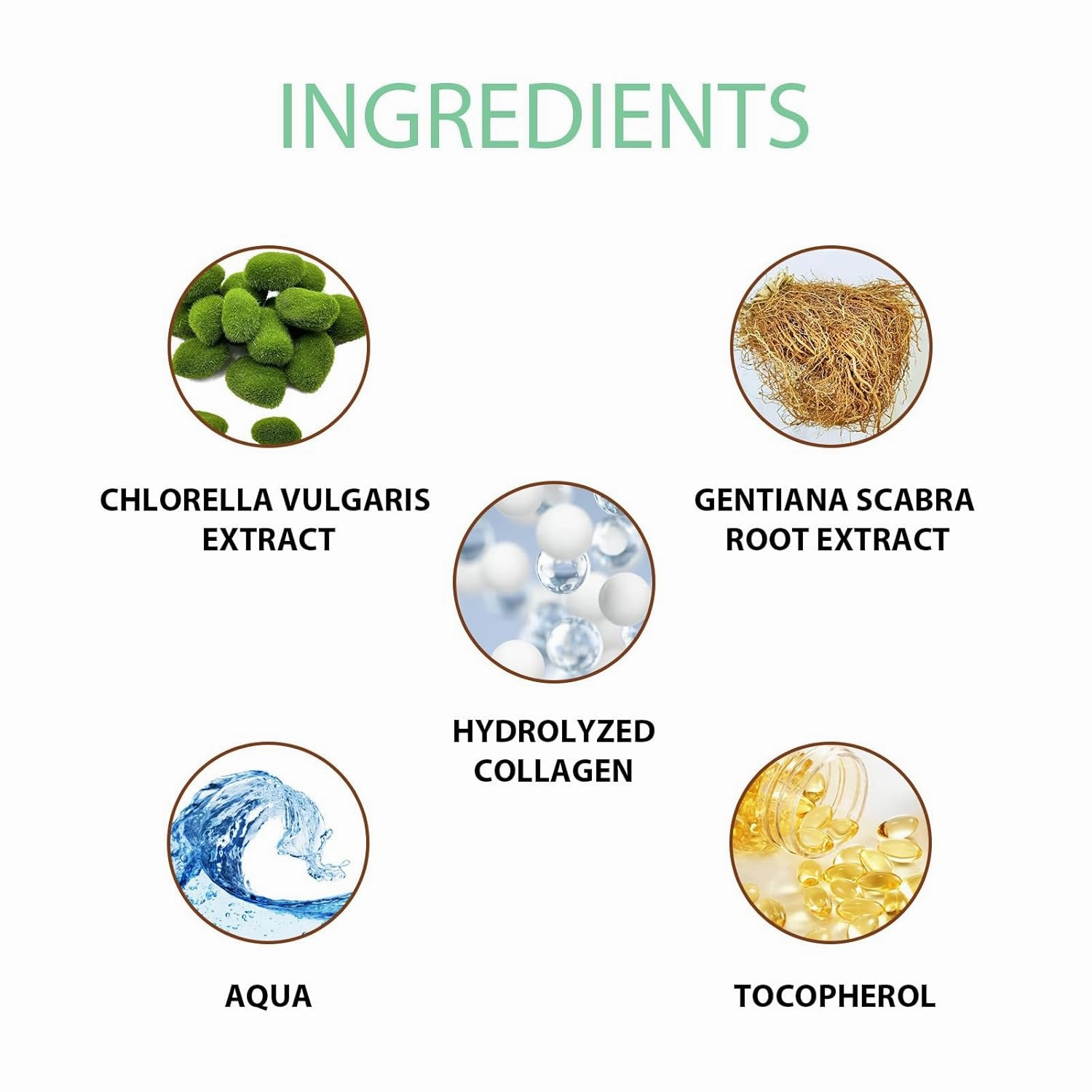 Natural Exfoliating Gel Scrub Exfoliating Body Scrub for All Skin Types