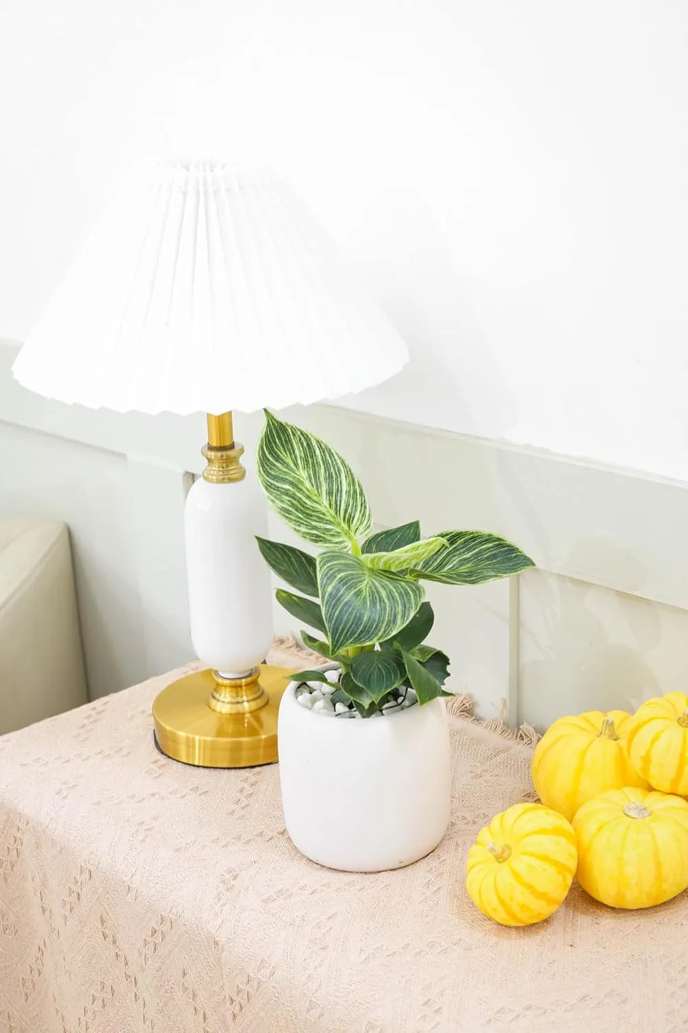 Philodendron Birkin (4" Grower Pot) - Rare Variegated Houseplant - Easy to Grow, Easy to Care Low Light Houseplants - Colorful Foliage Air-Purifying Plant