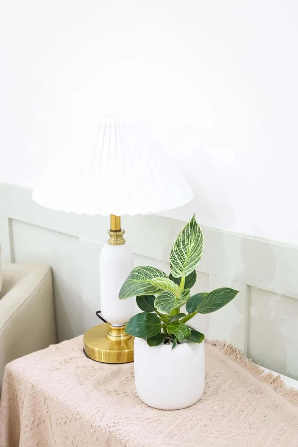 Philodendron Birkin (4" Grower Pot) - Rare Variegated Houseplant - Easy to Grow, Easy to Care Low Light Houseplants - Colorful Foliage Air-Purifying Plant