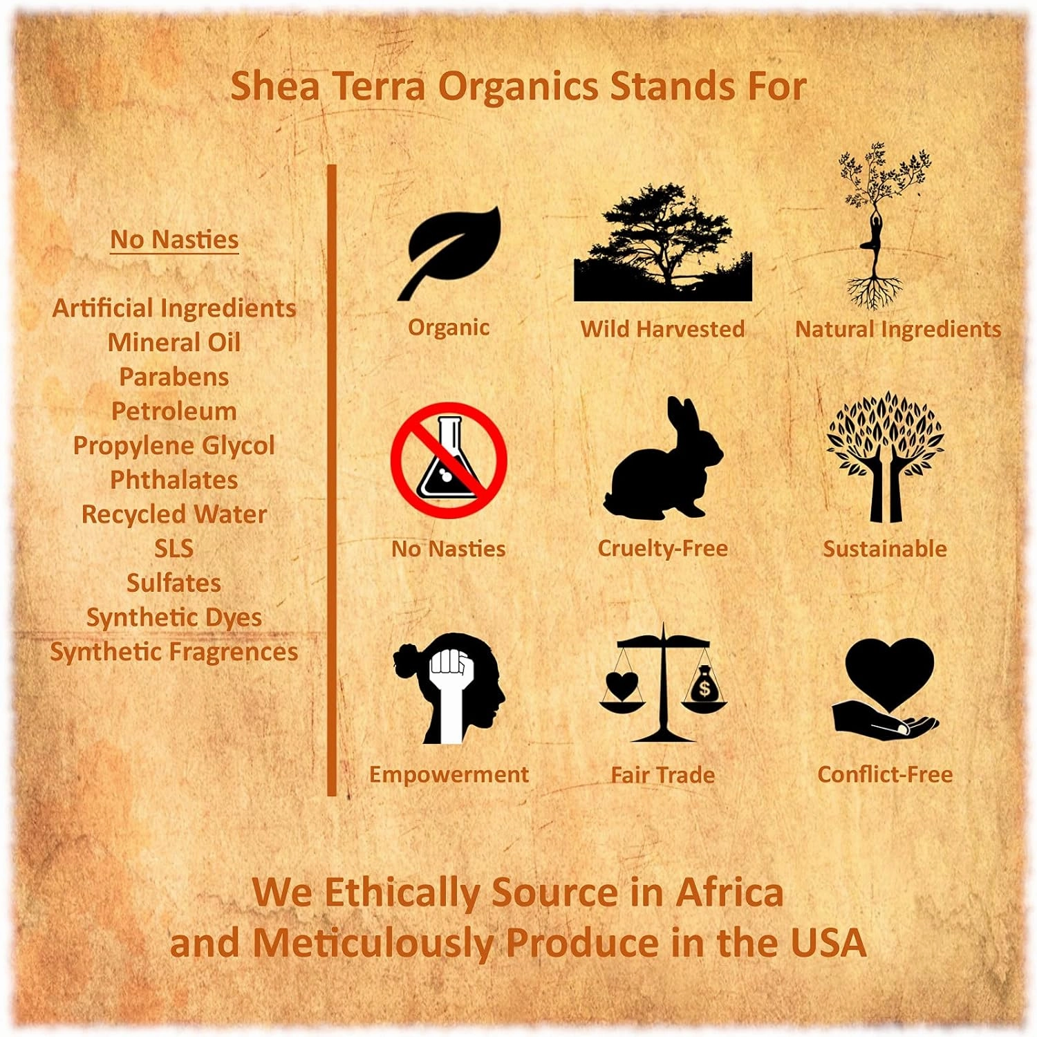 Shea Terra Organics Argan & Rosemary Cleansing Oil | Deep Pore Treatment, Bacteria Remover, Vitamin E Oil | All Skin Types - 2 oz