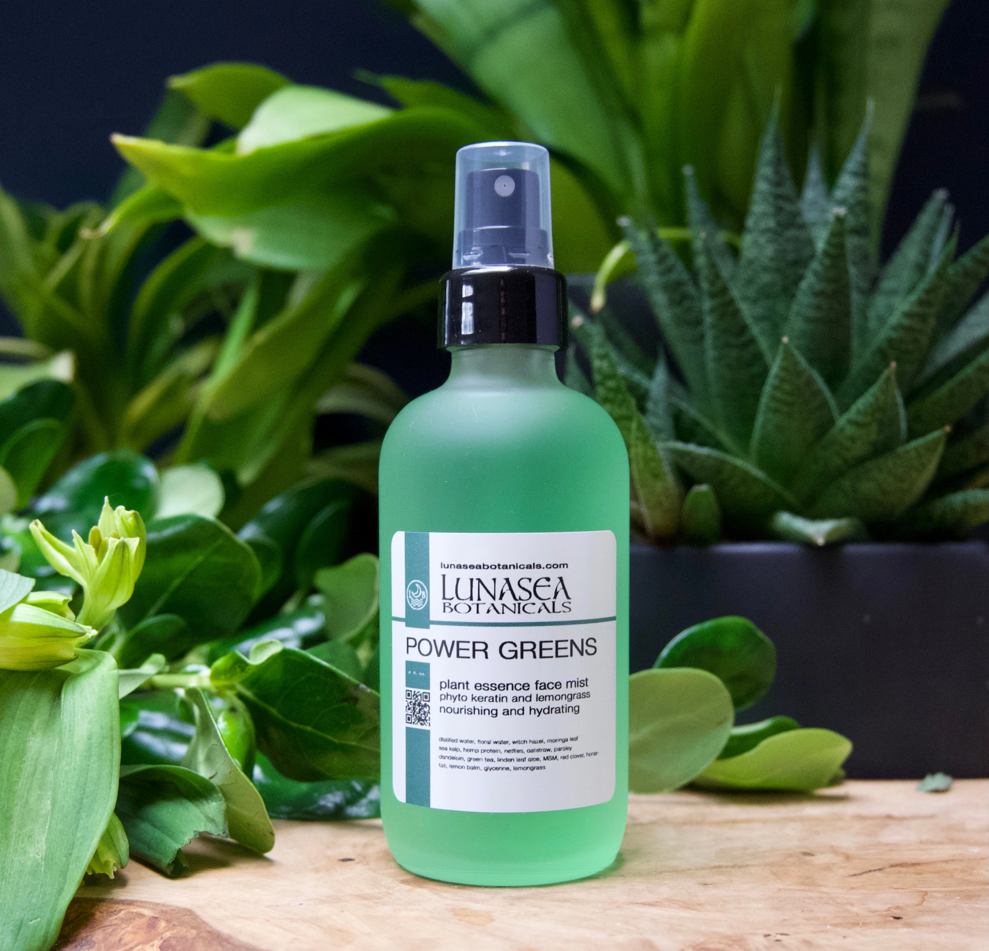 Wholesale 4 Pack Power Greens Plant Essence Mist
